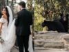 Casamento em parque do Tennessee &eacute; interrompido por fam&iacute;lia de ursos-negros