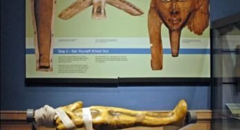 Museu de Glasgow remove m&uacute;mias de exibi&ccedil;&atilde;o em reavalia&ccedil;&atilde;o &eacute;tica sobre consentimento dos mortos