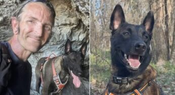 Cão de serviço de tutor com deficiência ganha sobrevida judicial contra eutanásia no Texas