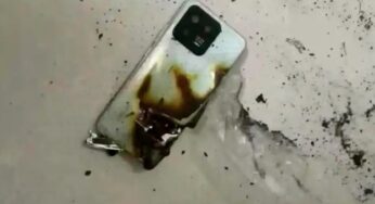 Explosão de smartphone afasta urso e salva vida de adolescente na Rússia