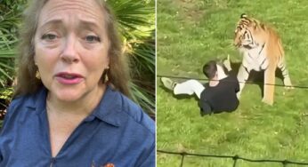 Carole Baskin Pede Proteção a Tigre Após Ataque Fatal em Zoológico Britânico