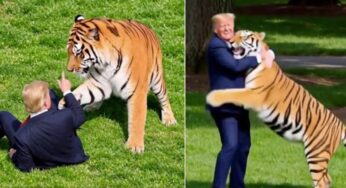 Trump causa ‘sofrimento grave’ a família de vítima de ataque de tigre ao republicar vídeo e criar IA