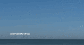Vídeo impressionante registra tubarão-branco saltando totalmente fora d’água em praia da Califórnia
