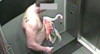 Turista canadense enfrenta prisão após condenação por sequestrar flamingo em Las Vegas