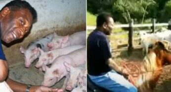 Propriedade rural que pertenceu a Pelé em Juquiá é anunciada por R$ 35 milhões