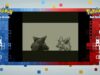 Cartucho prot&oacute;tipo de Pok&eacute;mon Red de 1998 com placa in&eacute;dita entra em leil&atilde;o nos EUA